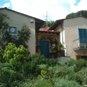 Pino Del Capitano Dicomano